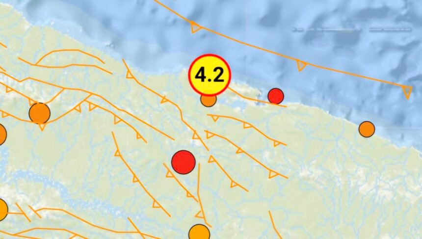 Gempa bumi tektonik dengan magnitudo 4.2 mengguncang wilayah Kota dan Kabupaten Jayapura, Papua, pada Minggu (6/10/2024).