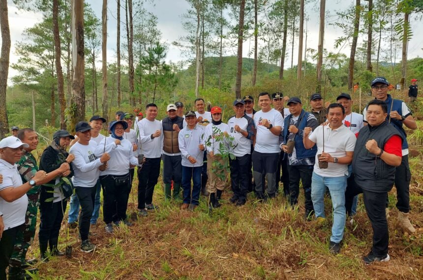 Peringati hari jadi Gowa ke-704 dengan penanaman bibit pohon di lahan kritis, (10/11/2024).
