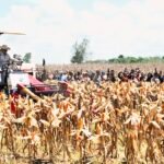 Presiden Prabowo Subianto melakukan Panen Raya Jagung Serentak Kuartal II di 36 Polda se-Indonesia yang dipusatkan di Kabupaten Bengkayang, Kalimantan Barat, pada Kamis, 5 Juni 2025, dengan menggunakan alat mesin pertanian (Alsintan) jenis corn harvester. (BPMI Setpres/HO)