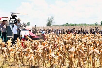 Presiden Prabowo Subianto melakukan Panen Raya Jagung Serentak Kuartal II di 36 Polda se-Indonesia yang dipusatkan di Kabupaten Bengkayang, Kalimantan Barat, pada Kamis, 5 Juni 2025, dengan menggunakan alat mesin pertanian (Alsintan) jenis corn harvester. (BPMI Setpres/HO)
