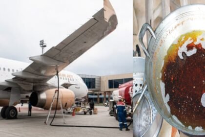 Teknologi U-Collect Box dirancang untuk pemanfaatan minyak jelantah sebagai bahan baku biodiesel, renewable diesel, hingga sustainable aviation fuel (SAF).